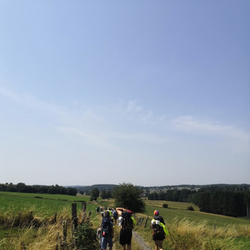 wolven groepskamp 2019